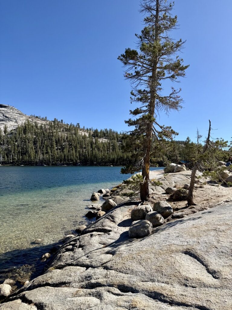 břeh jezera Tenaya Lake v Yosemite National Park
