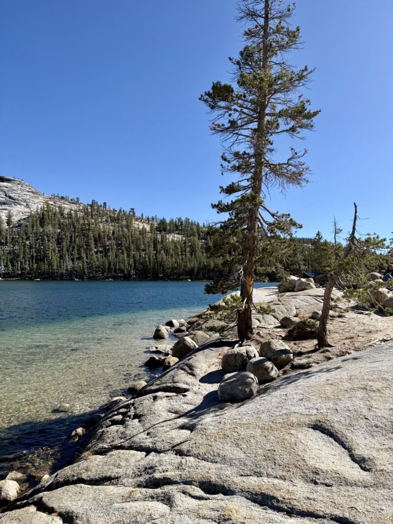 břeh jezera Tenaya Lake v Yosemite National Park
