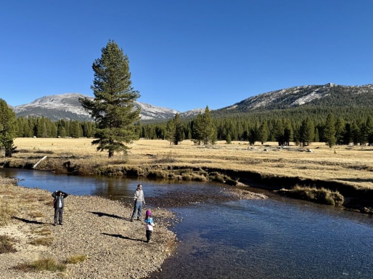 Tuolumne Meadows v Yosemite National Park