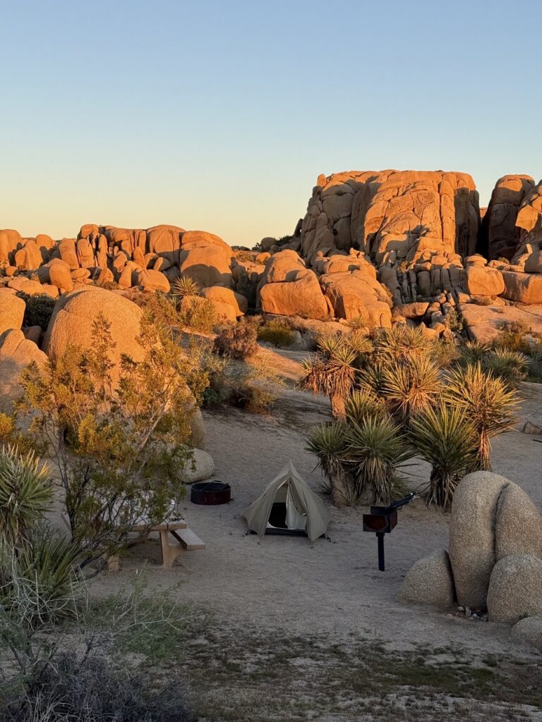 stanování v Joshua Tree