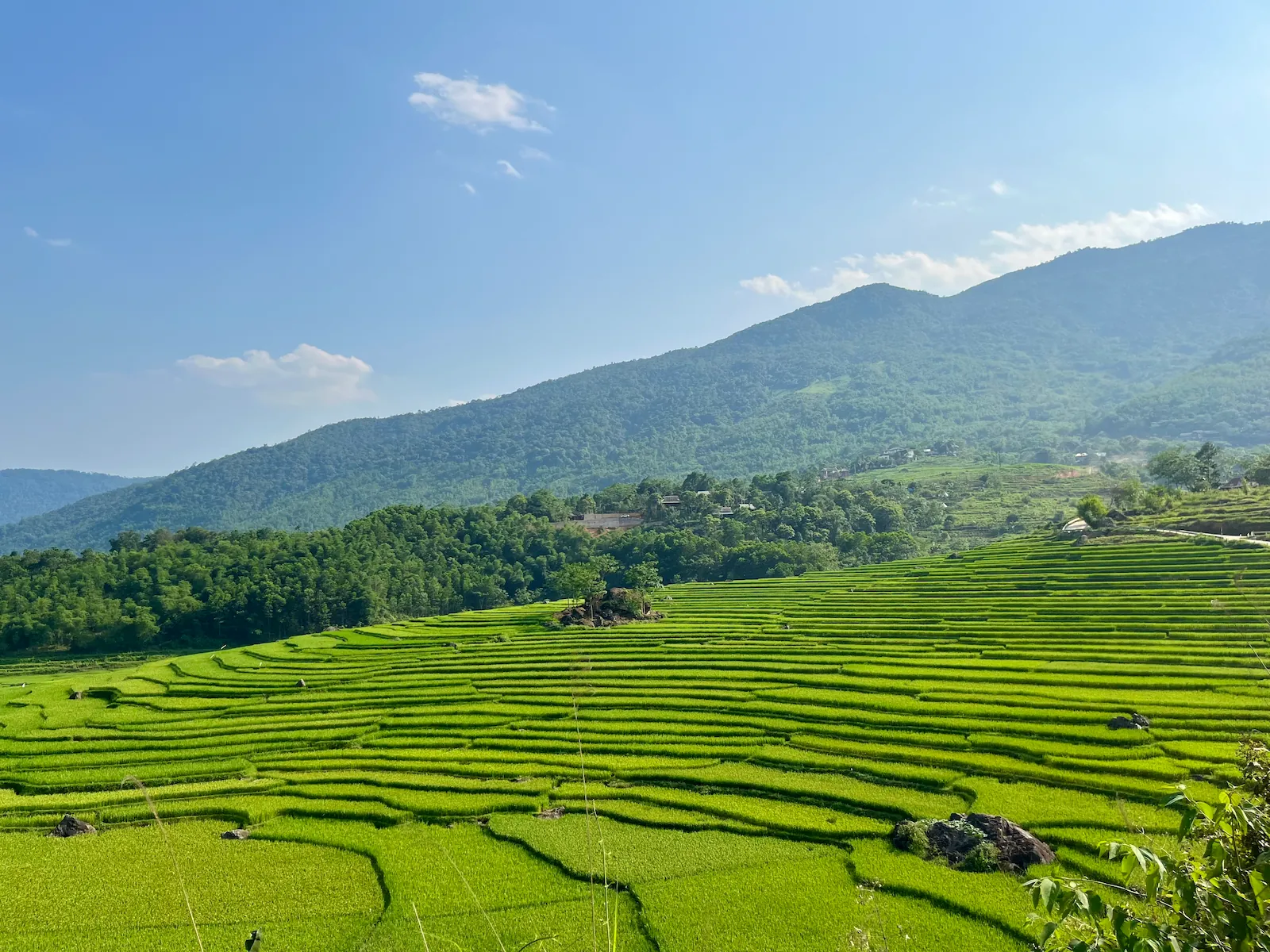 Vietnam