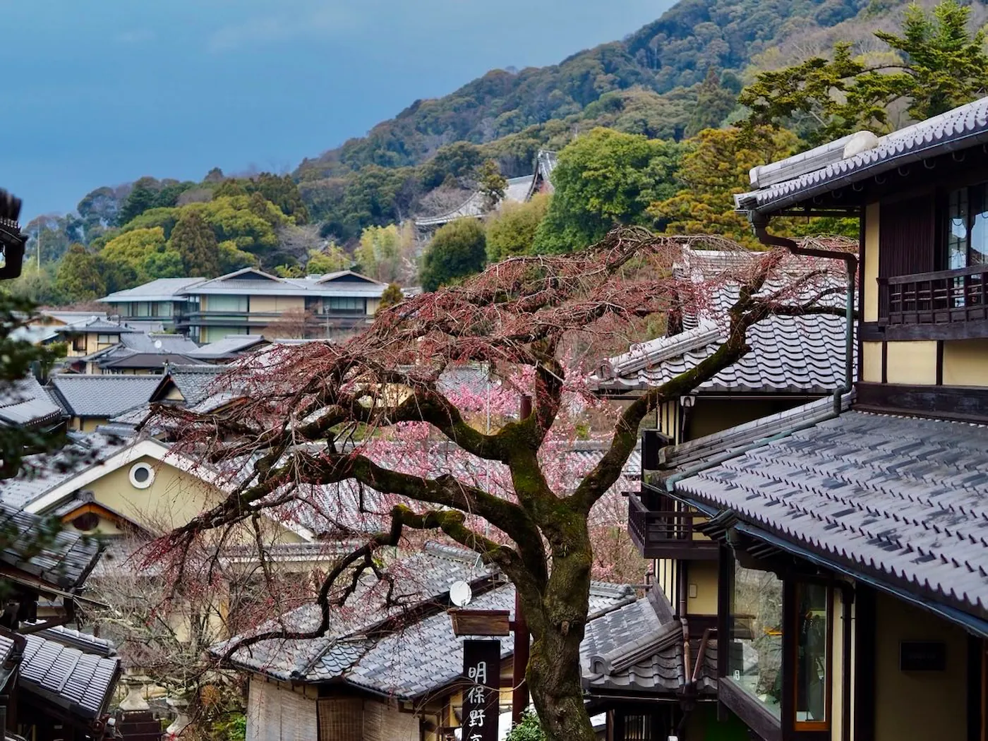 Japonsko