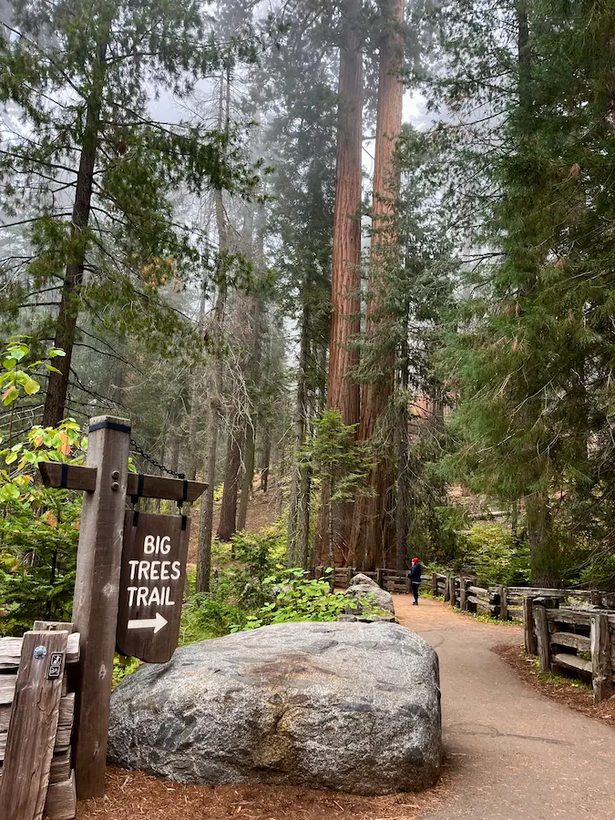 začátek Big Trees Trail v Sequoia National Park