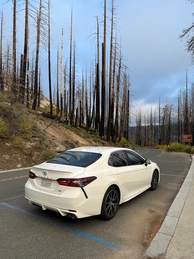 Toyota na silnici v Sequoia National Park