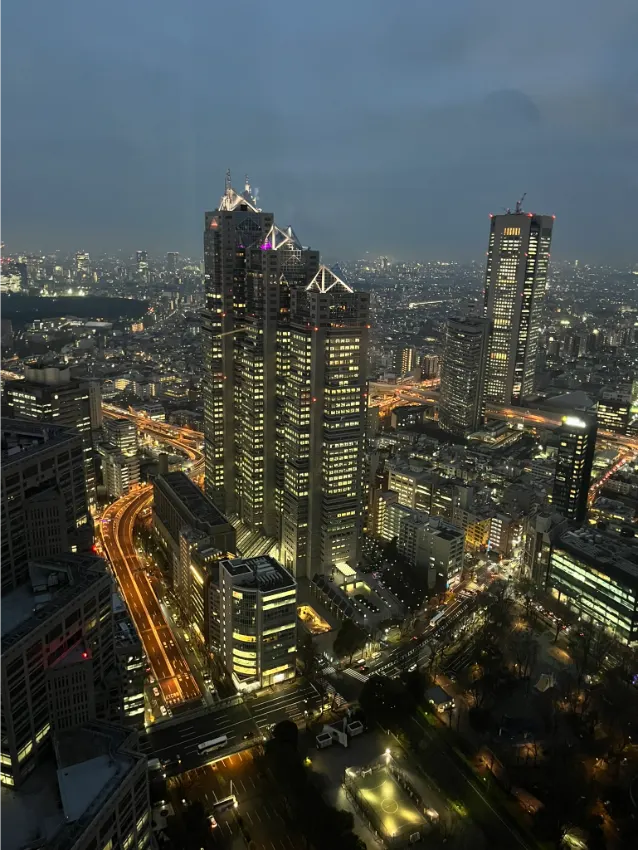 Výhled na noční Tokio z Metropolitan Goverment Building