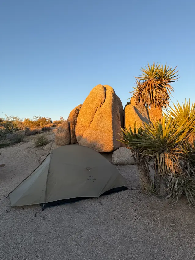 stan v Jumbo Rocks kemp v Joshua Tree